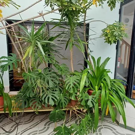 The Roof Garden Maisonette
