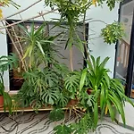 The Roof Garden Maisonette