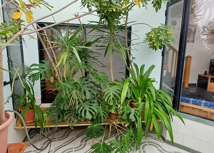 The Roof Garden Maisonette